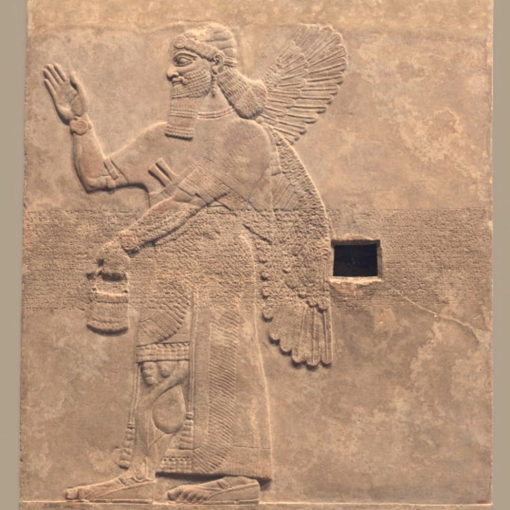 Meet your Posher, JOLUX11